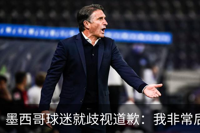 墨西哥球迷就歧视道歉：我非常后悔，已辞去工程师协会职务